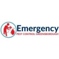 Emergency Pest Control Greensborough