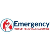 Emergency Possum Removal Melbourne