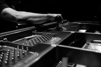 Fine Tuning Piano Services