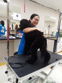Paw-Ever Fresh Pet Salon