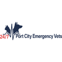 Port City Emergency Vets
