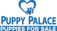 Puppy Palace Pet Shop