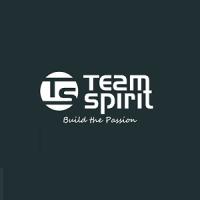 Team Spirit Sports