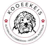 KooeeKeis Australian Cobberdogs