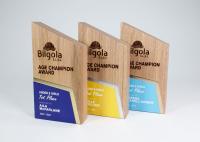 Platinum Awards