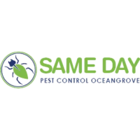 Same Day Pest Control Ocean Grove