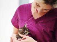 Swinburne Open Education