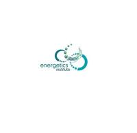 Energetics Institute