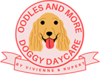 Oodles and More Doggy Daycare
