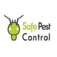 COCKROACH PEST CONTROL SYDNEY