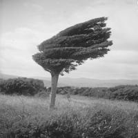 Grant Julian Rasmussen - Regional Business Consultant