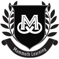 Mammoth Learning