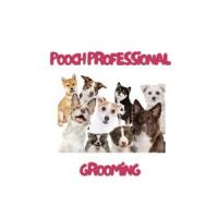 Pooch Professional Grooming