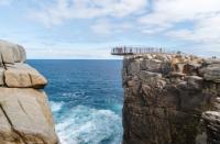 Albany Tours