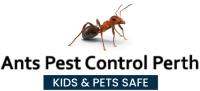 Ants Pest Control Perth