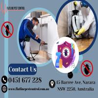 Reliable Pest Control Terrigal - Safe & Effective Solutions