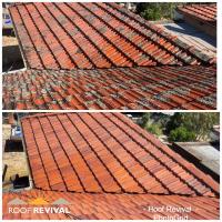 Roof Revival