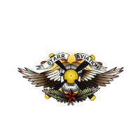 Starr Aviation