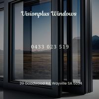 Visionplus Windows