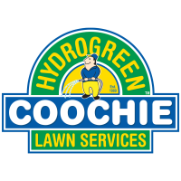 Coochie HydroGreen Chelsea