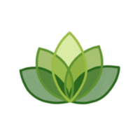 Evolver Drug Rehab Fortitude Valley