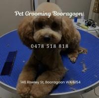 Pet Grooming Booragoon - Dog Grooming, Cat Grooming