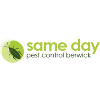 Same Day Pest Control Berwick