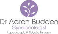 Dr Aaron Budden