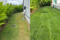 Coastal Lawn Solutions