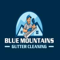 Blue Mountains Gutter Cleaning Services